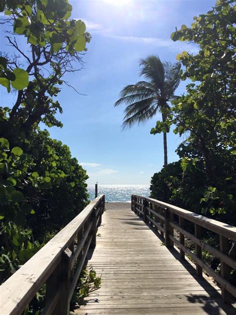 Marketing Agency Dania Beach .